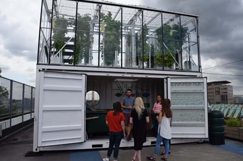 Greenhouse with plants growing on top of a bunker in the city